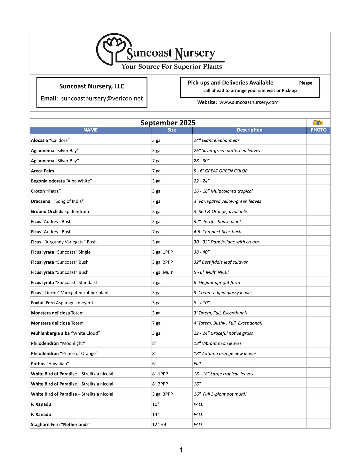 Suncoast Availability sept 2025